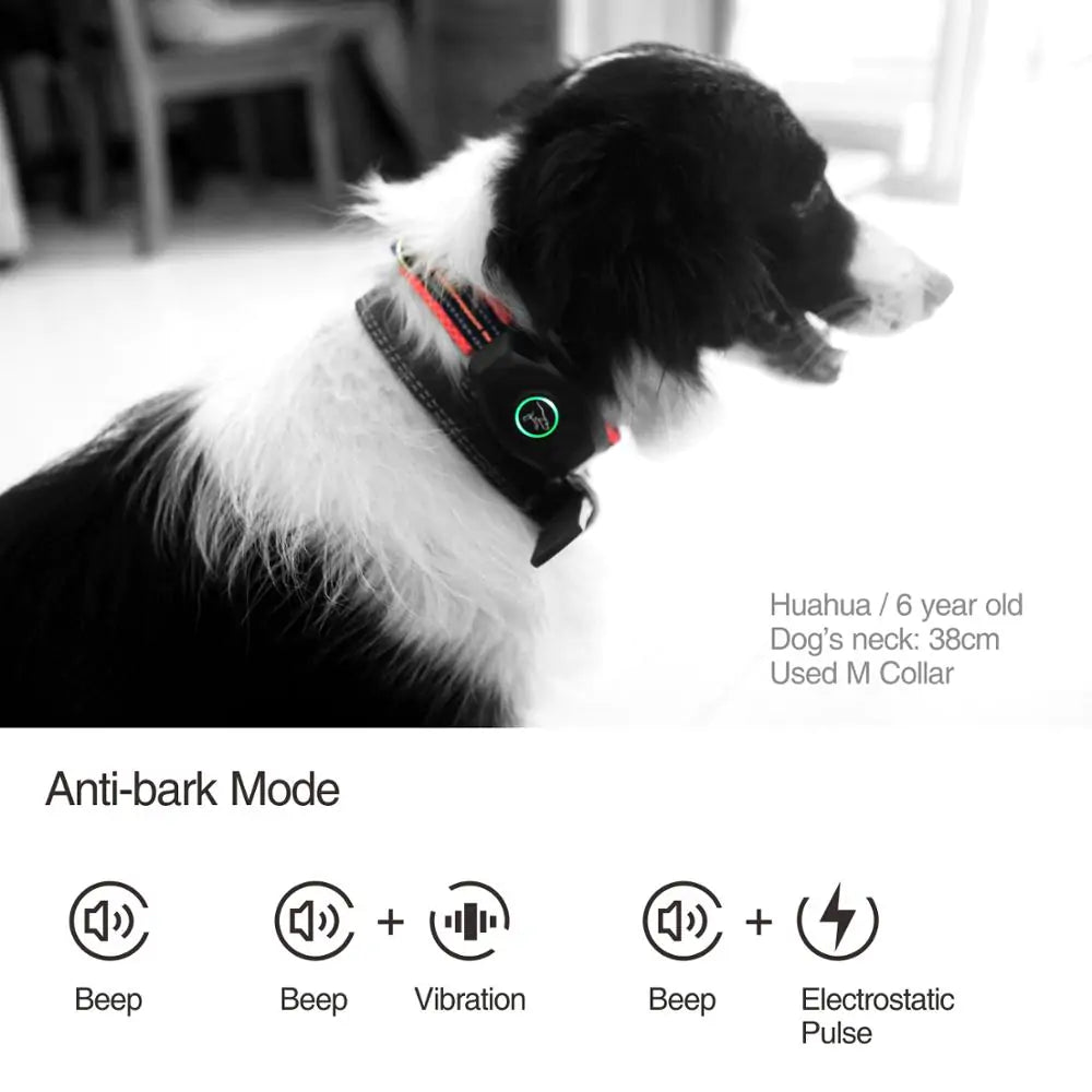 The DB400 Remote Dog Bark &amp; ​​Training Collar