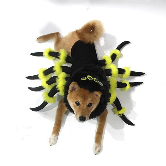 New pet cat spider transformation costume cosplay dog Halloween funny dog costume dress up