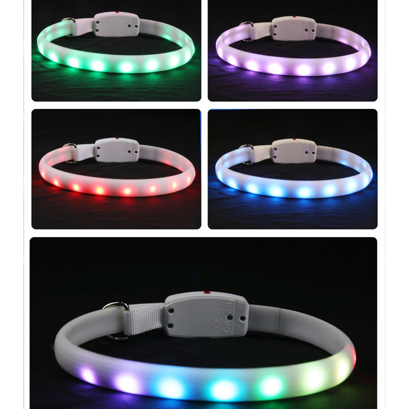 USB Rechargeable Pet Dog LED Glowing Collar