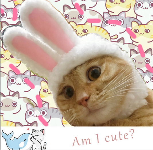 Funny Easter Cute Costume Easter Cap Bunny Rabbit Hat with Ears for Cats and Small Dogs Pets Costume Accessories Birthday Photo