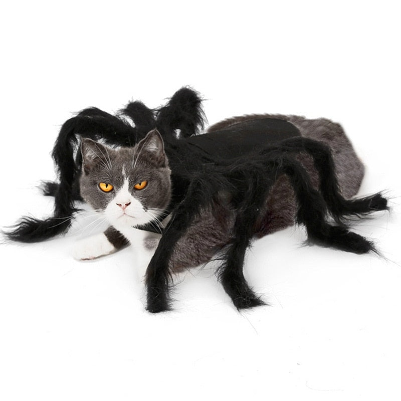 Halloween Pet Spider Clothes Puppy Plush Spider Cosplay Costume For Dogs Cats Party Cosplay Funny Outfit Simulation Black Spider