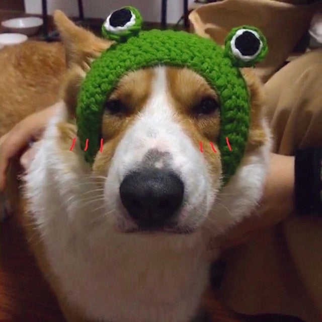 Dogs Cat Frog Styling Decorative Cap Casual Cotton Cap Pet Products Handmade Costume Festive Party Head Ornament