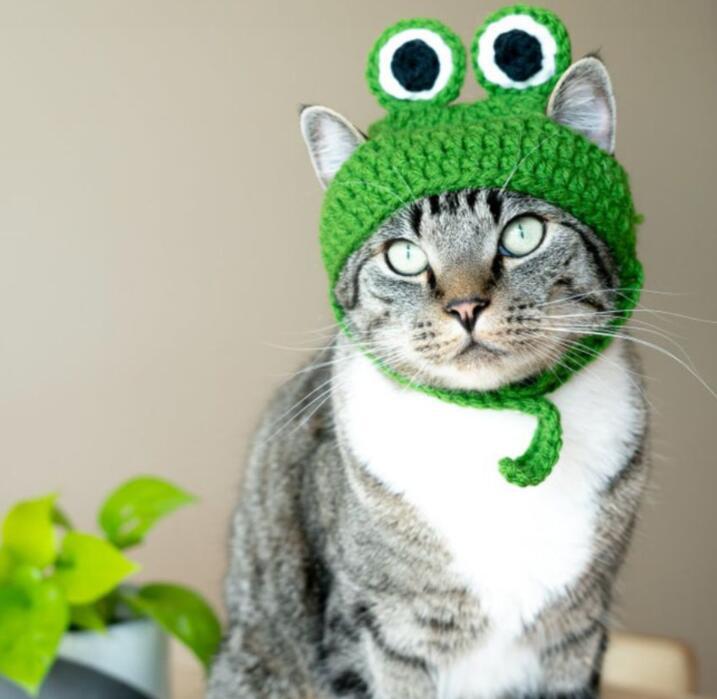 Dogs Cat Frog Styling Decorative Cap Casual Cotton Cap Pet Products Handmade Costume Festive Party Head Ornament