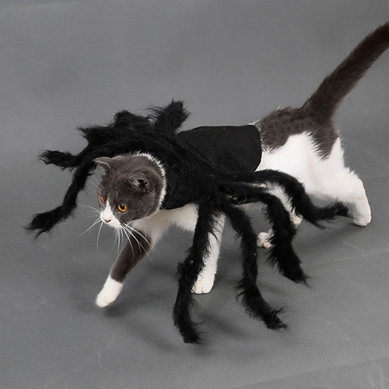 Halloween Pet Spider Clothes Puppy Plush Spider Cosplay Costume For Dogs Cats Party Cosplay Funny Outfit Simulation Black Spider