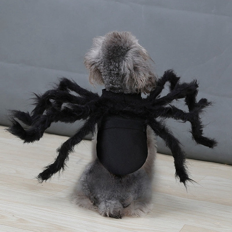 Halloween Pet Spider Clothes Puppy Plush Spider Cosplay Costume For Dogs Cats Party Cosplay Funny Outfit Simulation Black Spider