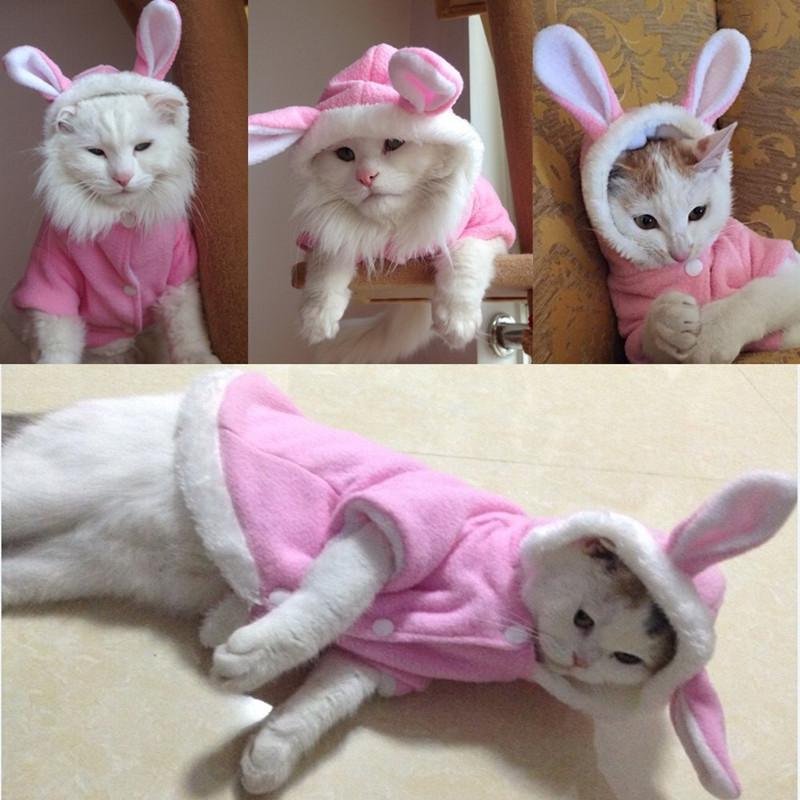 Pet Cat Clothes Mascotas Costume Clothes 