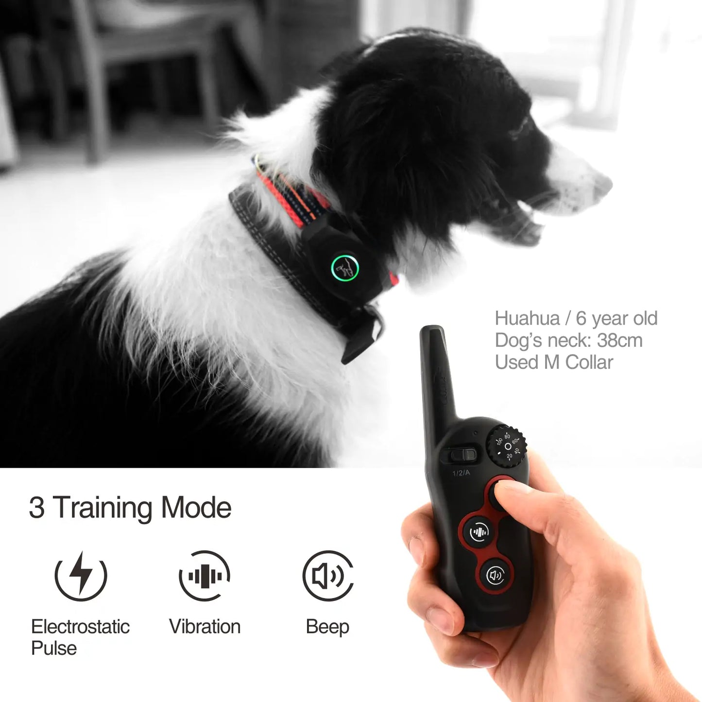 The DB400 Remote Dog Bark &amp; ​​Training Collar