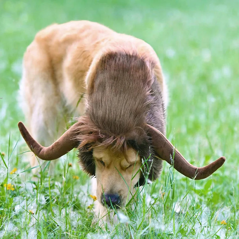 Funny And Cute Pet Dog Costume Bull Mane Wig Hat Hat