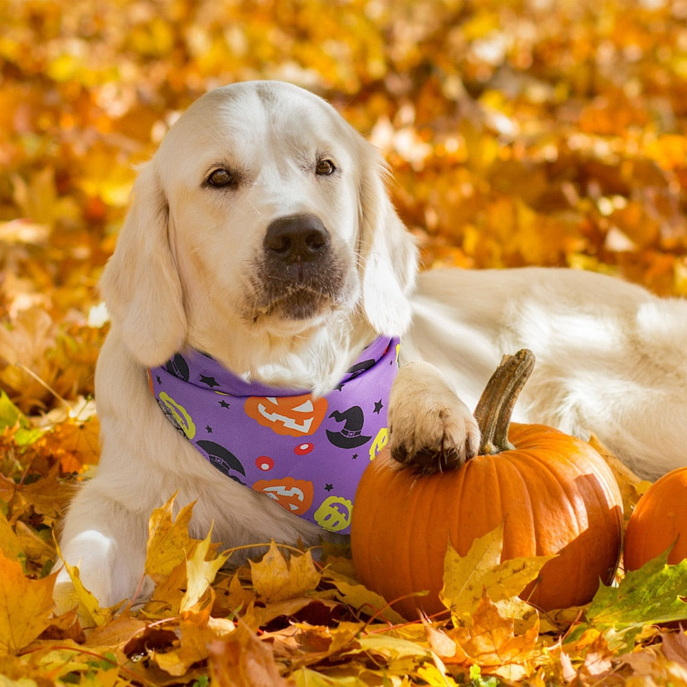 Halloween Dog Cat Bandana Collar Scarf Pet Dog