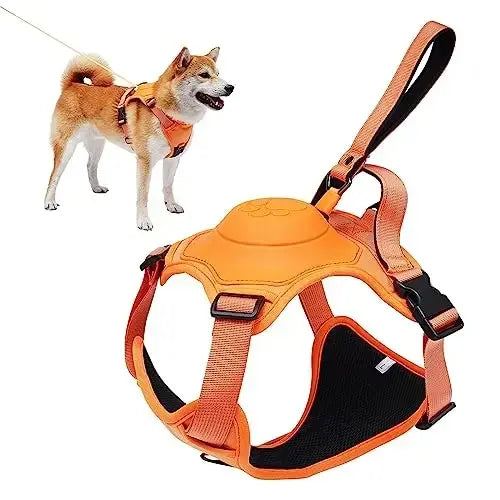 Dog Harness and Retractable Leash Set