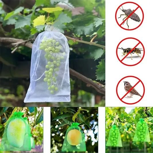 50/100pcs Grape Protection Bag Grow Bag Mesh Fruit Pest Control Products Breathable Gauze Strawberry Seedling Bags Organza 