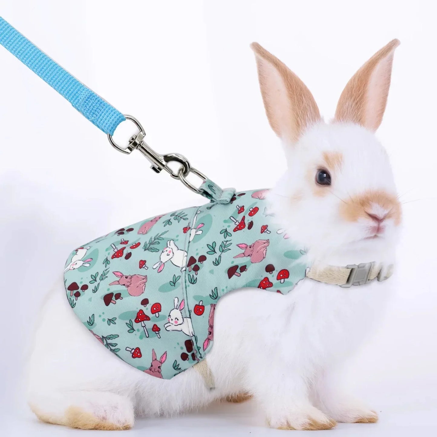 Solid Adjustable Pet Harness and Leash for Rabbit Bunny Cat Ferrets Outdoor Walking Pets Supplie Lapin Accessories Belt Lead Set