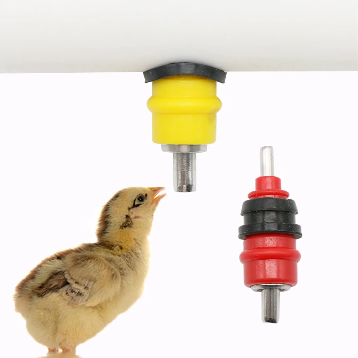 10 pcs Chicken Waterer Nipple Drinkers Quail Pigeon Bird Waterer Nipples Automatic Water Dispenser Poultry Farming Equipment - Signé LàLà