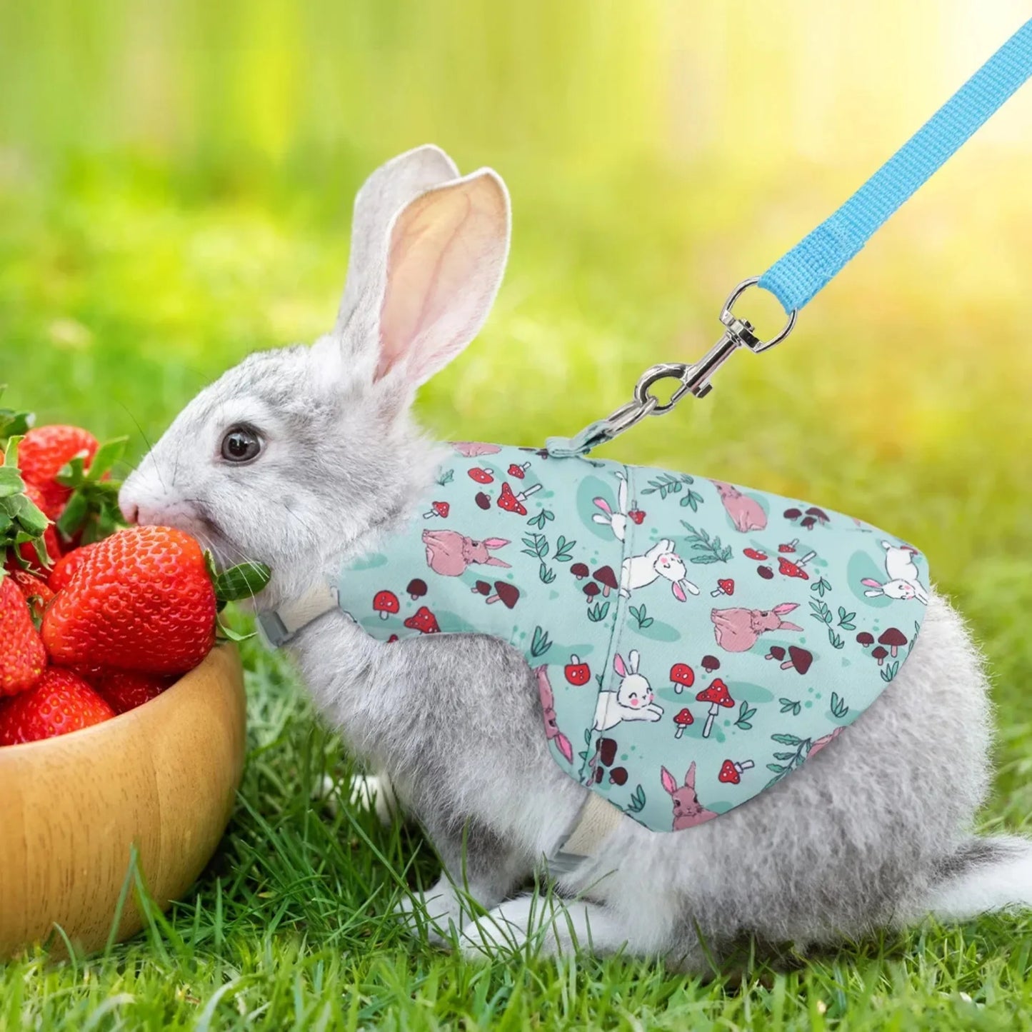 Solid Adjustable Pet Harness and Leash for Rabbit Bunny Cat Ferrets Outdoor Walking Pets Supplie Lapin Accessories Belt Lead Set