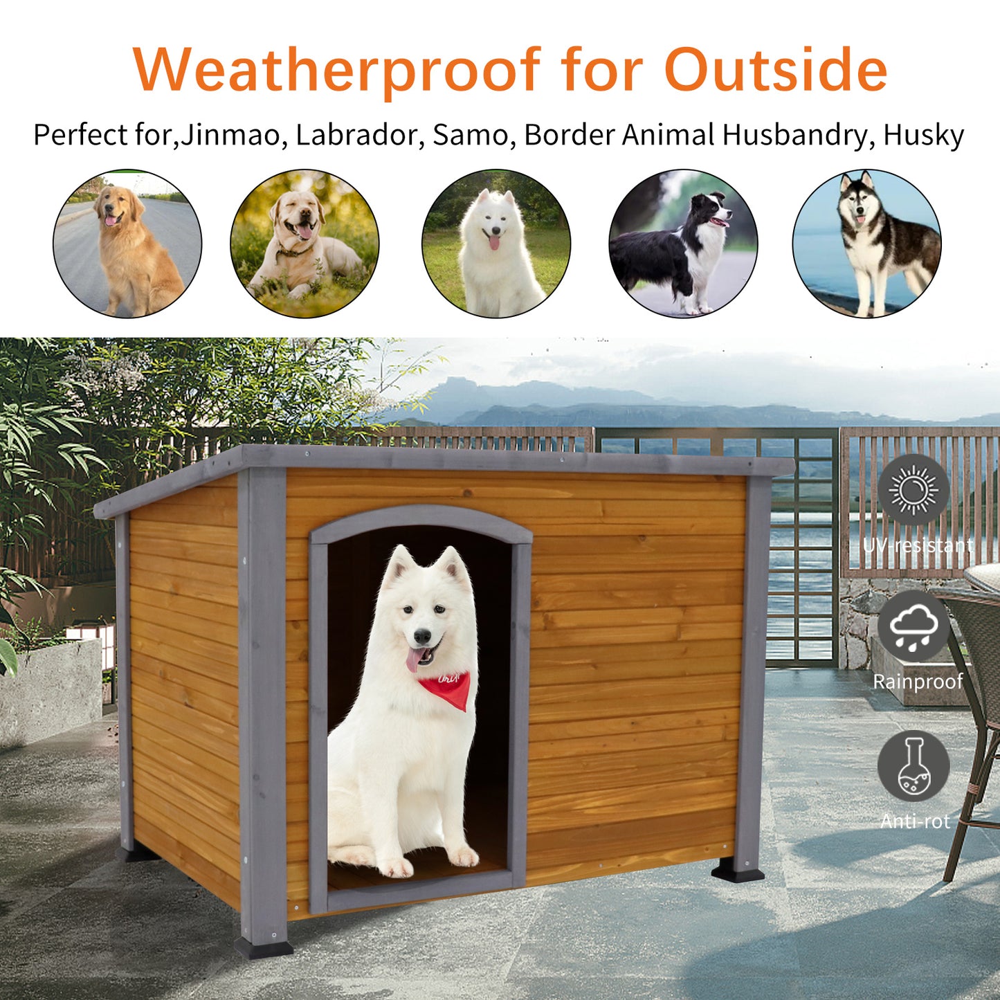 Dog House Outdoor &amp; Indoor Wooden 