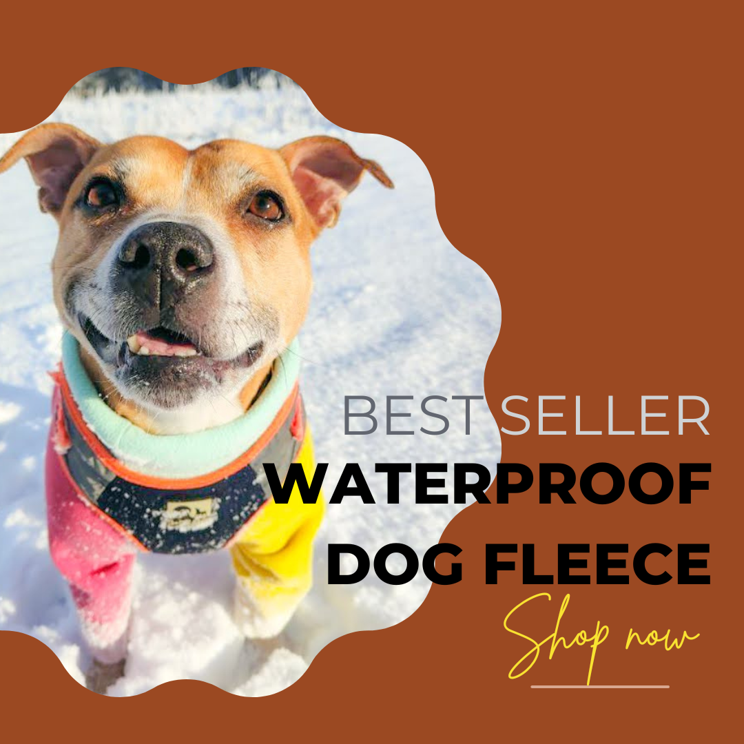 Waterproof Dog Fleece: Create Your Own