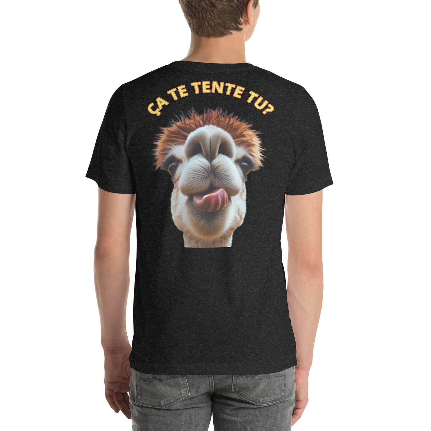 Ça te tente tu?